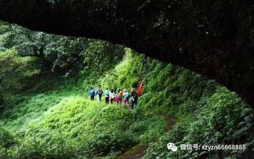 口服司美格鲁肽片获批 产业链有望扩容